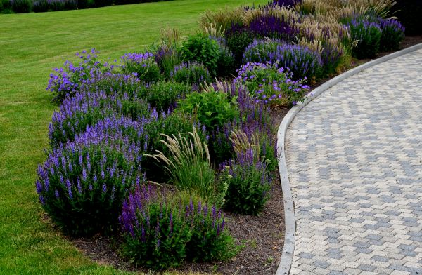 Sidewalk Curb Installation in Newport Beach