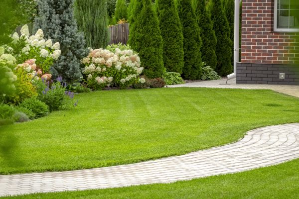 Landscape Walkway Installation in Newport Beach